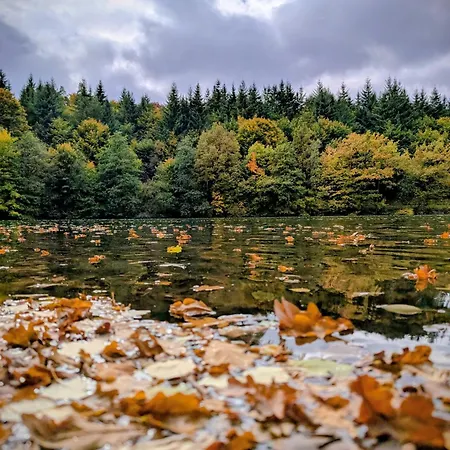 Lygri Апартаменты Ольпе